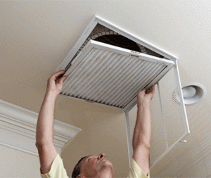 Should Your Air Filter be Changed More Frequently During Summer? | Rinaldi's