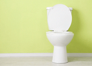 Shopping for a New Toilet? These Tips Can Help You Decide