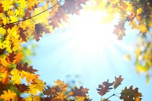 Air Quality Concerns You Should Know This Fall