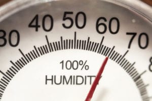 Humidity and the Seasons: How to Manage Levels Year-Round