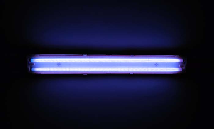 Detail shot of a fluorescent light tube on a wall.