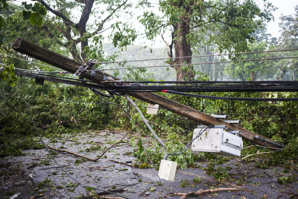 Image of a tree damaging a power line after a storm