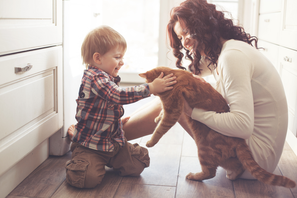 A mother and child playing with a cat